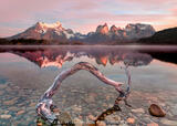 Cuernos del Paine Still Sunrise