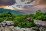 Approaching Storm at Roan Mountain