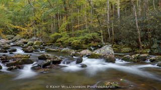 Little River in Great Smokey Mountain National Park