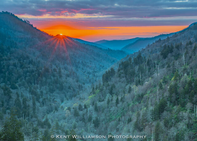 Early Spring near Clingman's Dome print