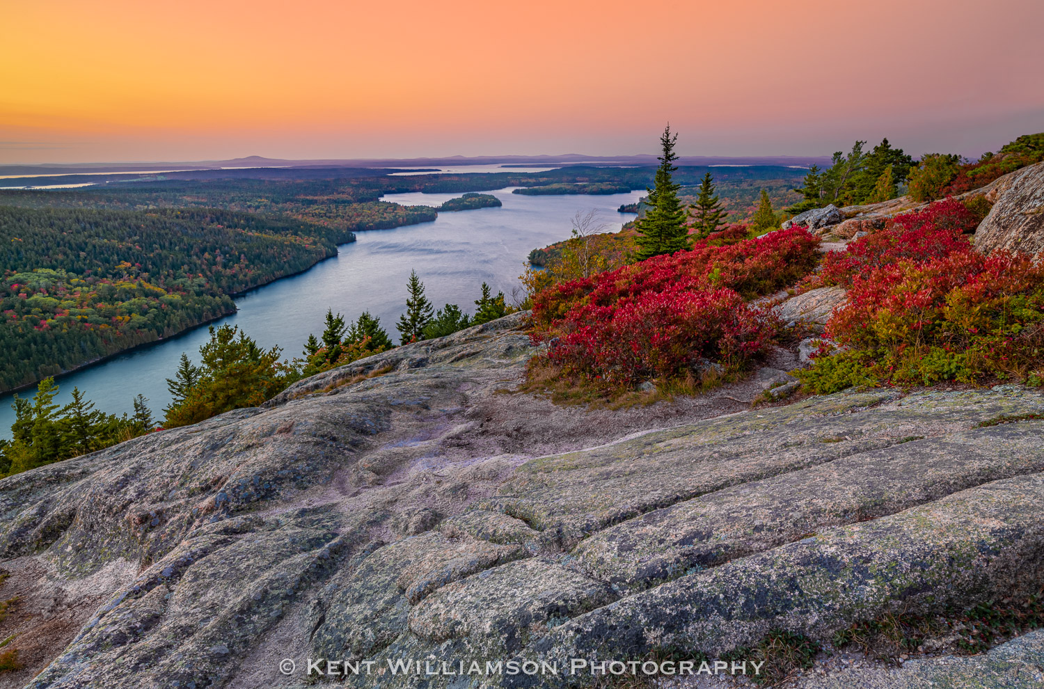 Subtle sunset color illuminates huckleberry on the granite mountain top at Beech Mountain in Acadia National Forest, Fall 2021...