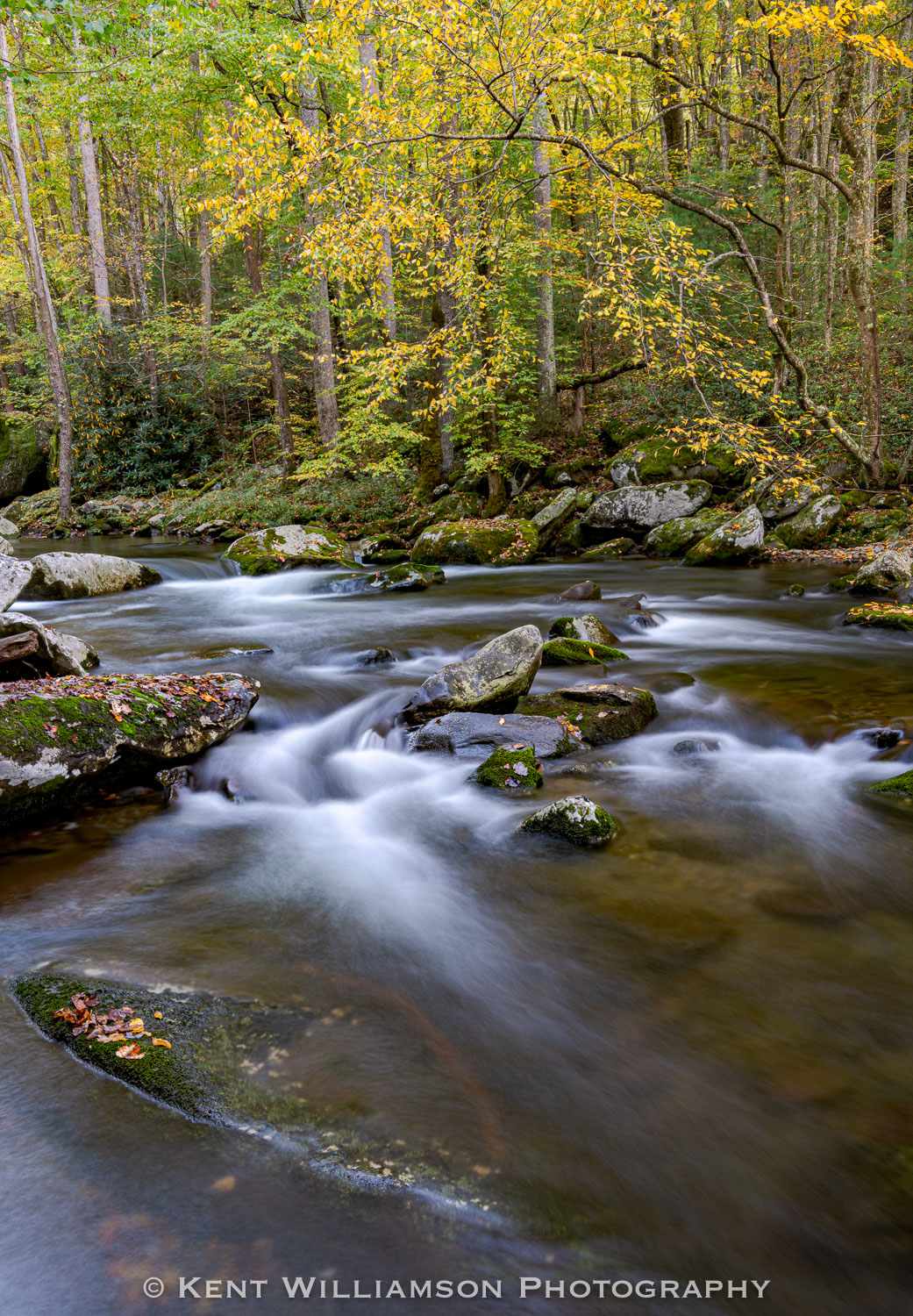 Spring color emerges over Little River at Great Smokey Mountain National Park near Cades Cove
