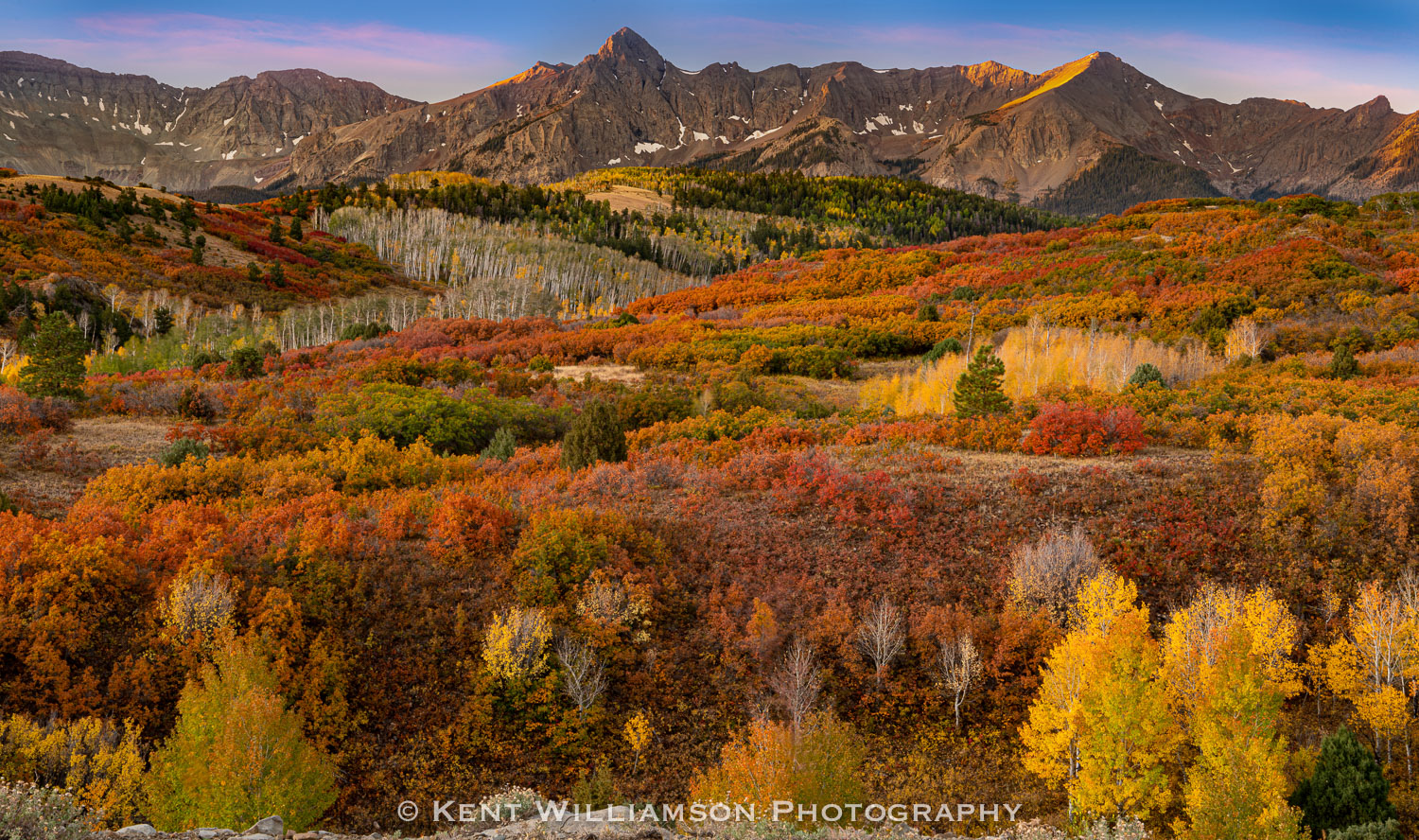 Brilliant Autumn color fills the hills at Dallas Divide in Colorado.