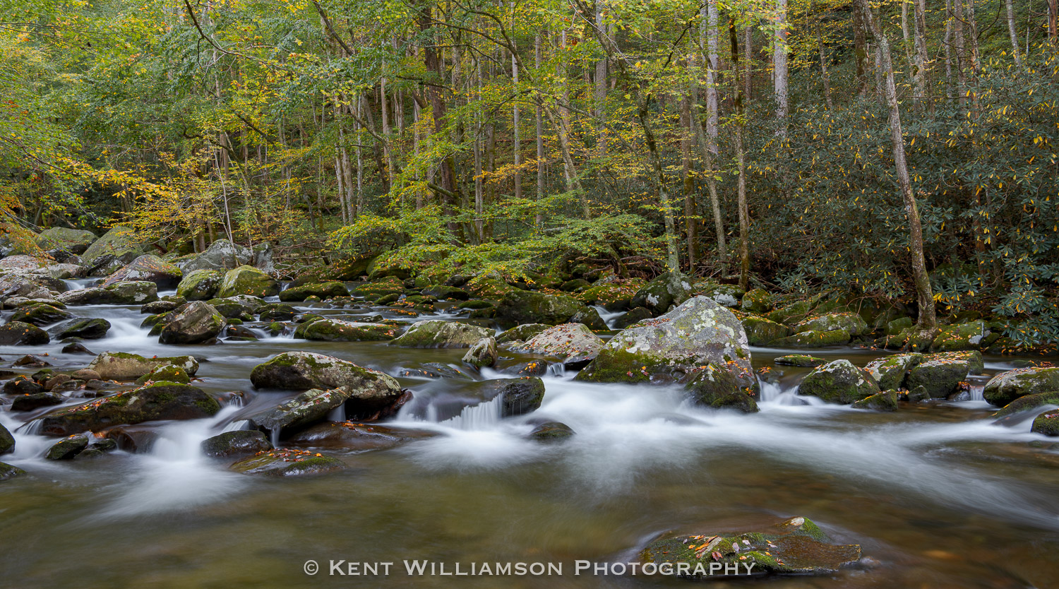 Early spring color along the Little River near Cades Cove, 2020
