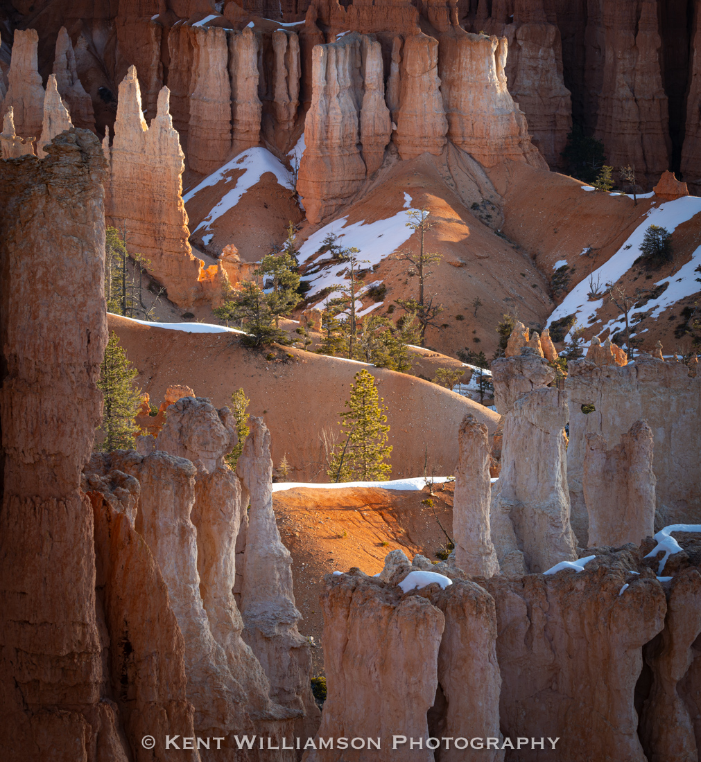 Lone Tree in Bryce Canyon in Winter As sun emerges over Bryce Canyon National Park in winter, a lone tree shows up as if a spotlight were directed toward it, flanked...