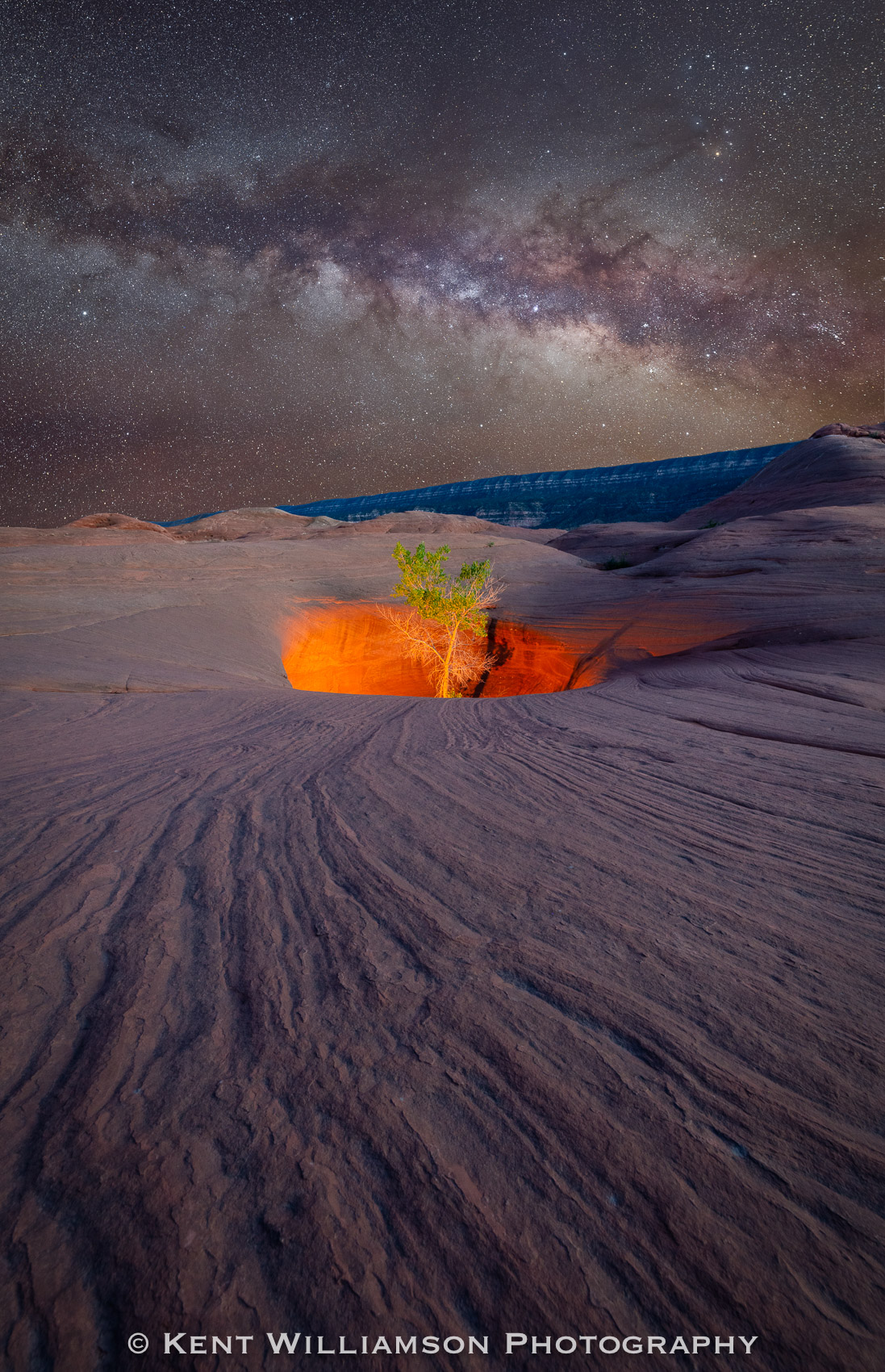 Lone Tree at Night Lone tree resides in a large sandstone pothole near Escalante, Utah.