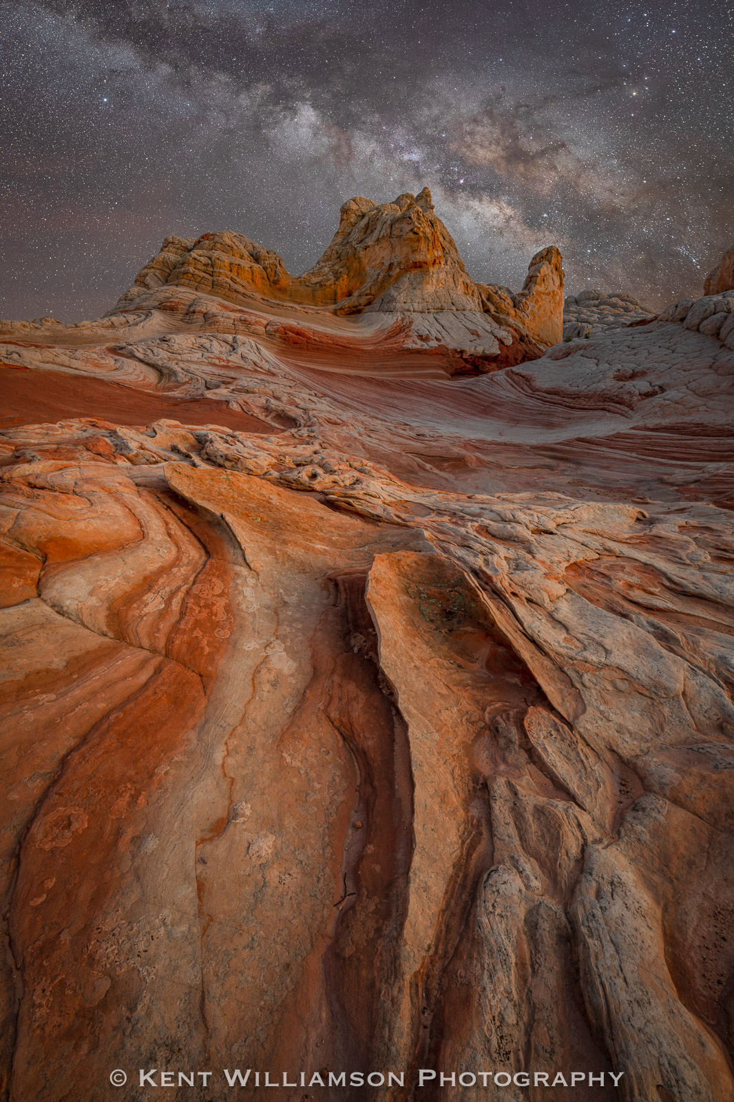Tulip in Sandstone Clear night over White Pocket at Vermilion Cliffs National Monument, Arizona.